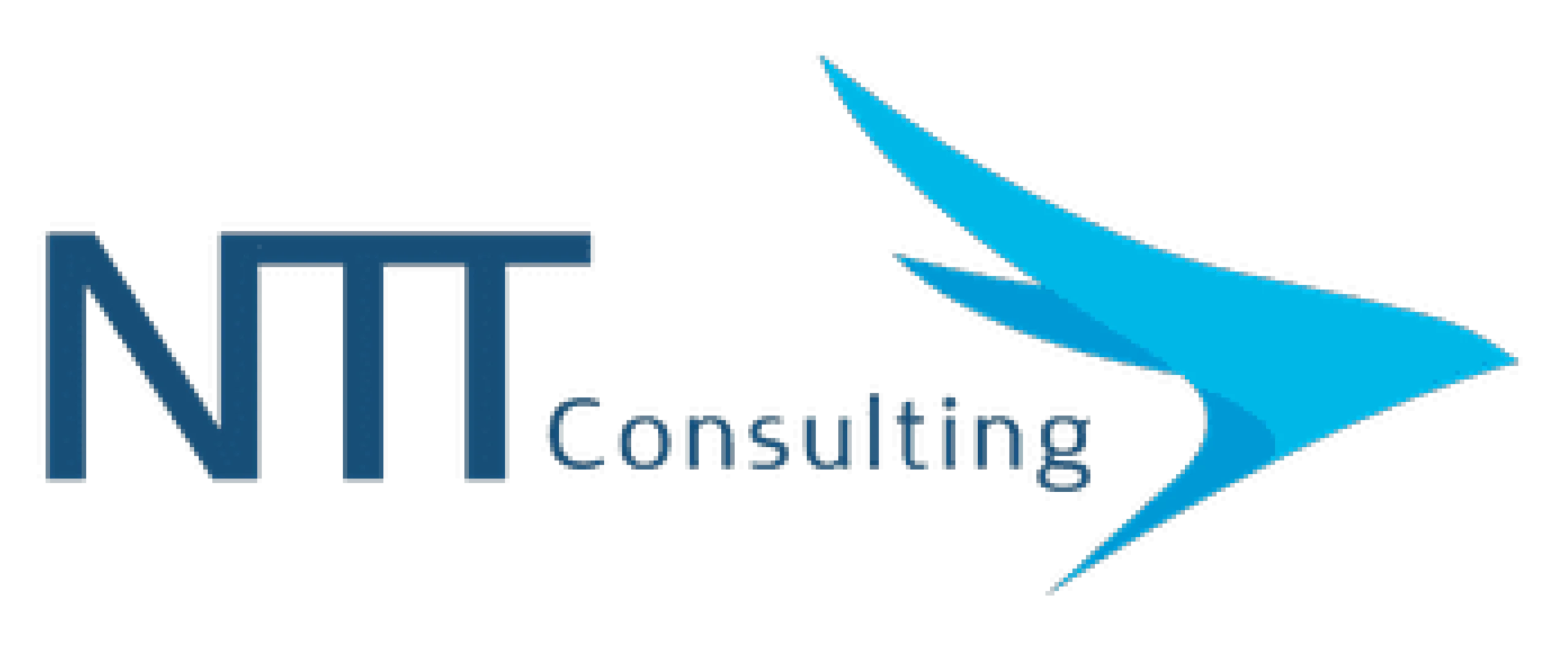 NTT CONSULTING